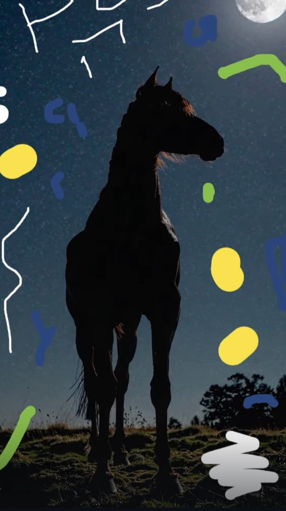 Dark Horse Hoodie